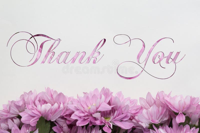 Thank You - Flowers Isolated on White Stock Illustration - Illustration