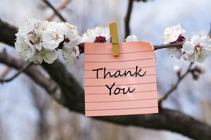 Thank you in memo stock photo