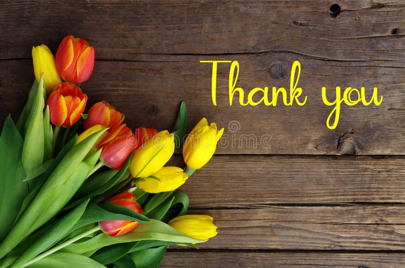 Thank You Message, Colorful Tulips on Wooden Background. Spring ...
