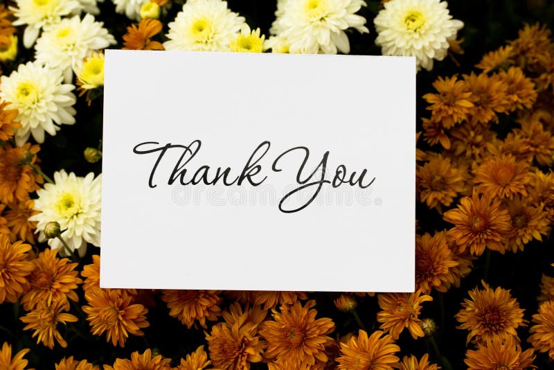 Thank You Note stock image