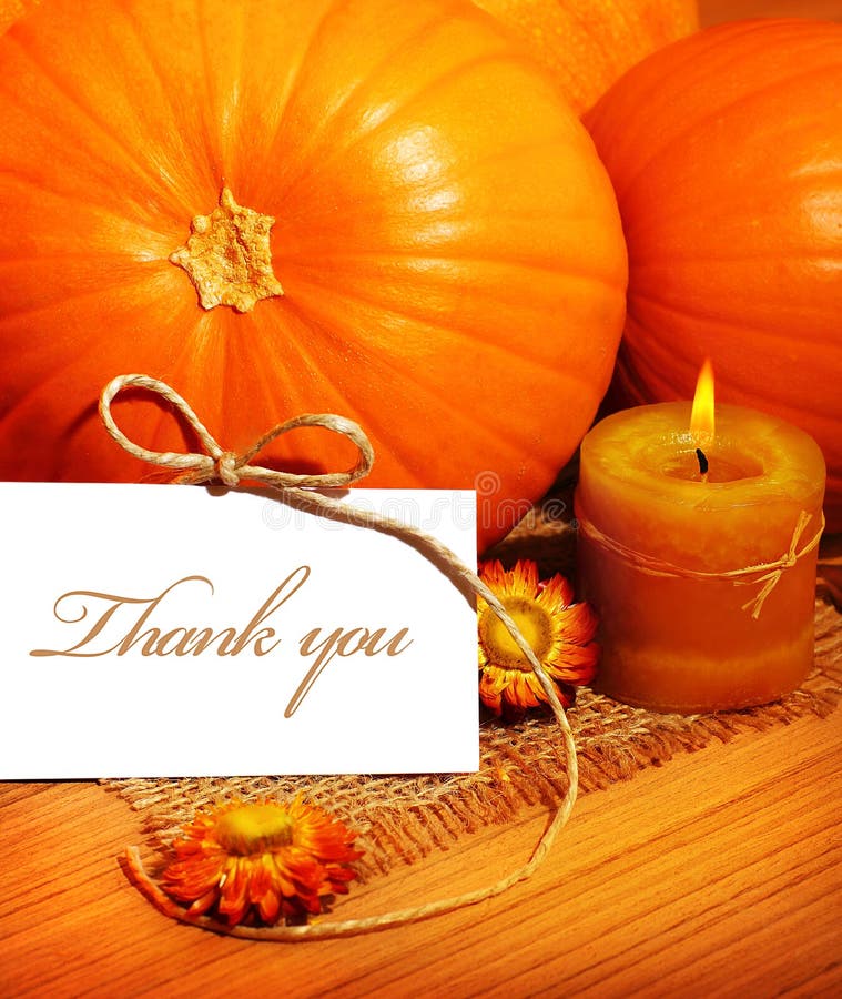 Thank you, thanksgiving greeting card