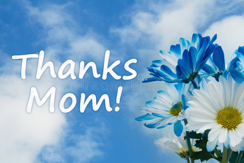 685 Thanks Mom Photos Free Royalty Free Stock Photos From Dreamstime