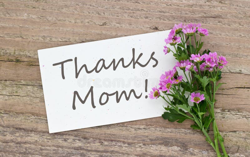 704 Thanks Mom Photos Free Royalty Free Stock Photos From Dreamstime 704 Thanks Mom Photos Free Royalty Free Stock Photos From Dreamstime
