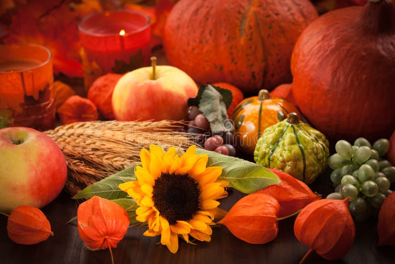 Still life for Thanksgiving with sunflower and pumkin