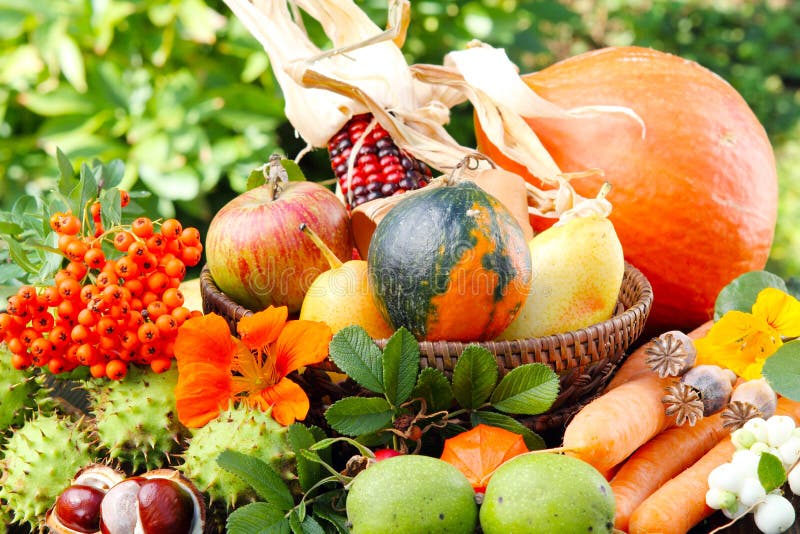 Thanksgiving, autumn fruits