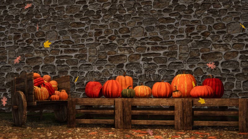 Thanksgiving autumn pumpkins stone wall background