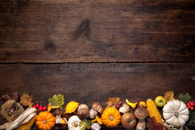 Harvest or Thanksgiving background with autumnal fruits and gourds on a rustic wooden table