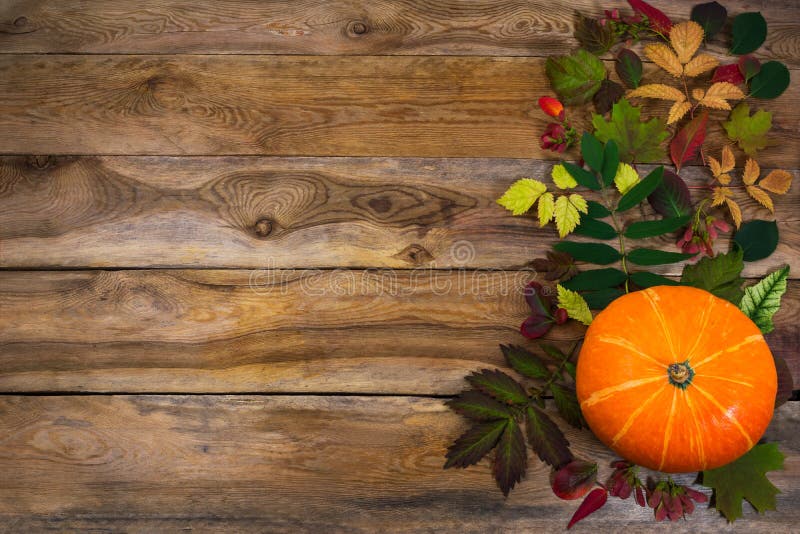 Thanksgiving background with leaves and squash on old table