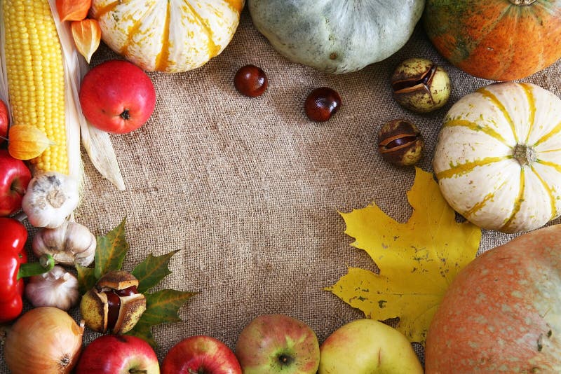 Thanksgiving vegetables, fruits border. Pumpkins, corn, apple on a natural background frame. Thanksgiving vegetables, fruits border. Pumpkins, corn, apple on a natural background frame