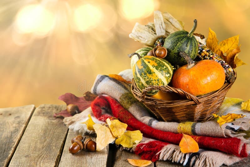 Thanksgiving Concept - Pumpkins, Leaves, Wood Background Stock Photo ...