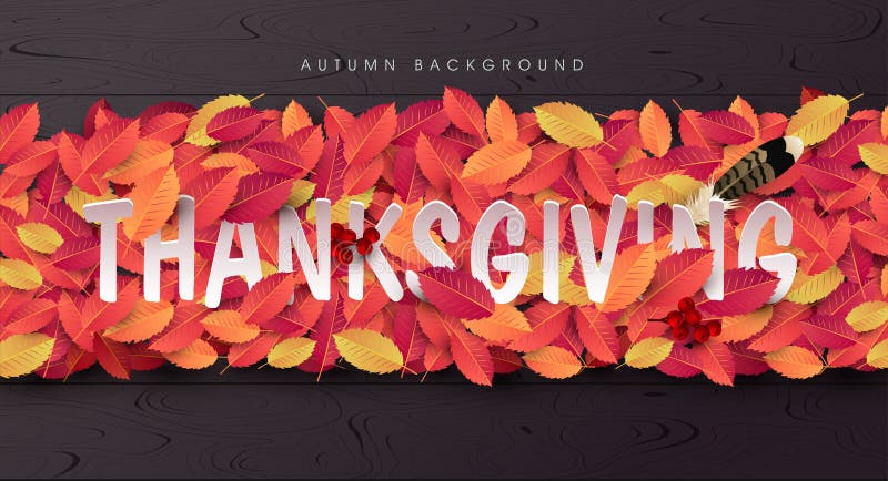 Thanksgiving day banner background. Celebration quotation for card.vector illustration.Autumn season happy Thanksgiving