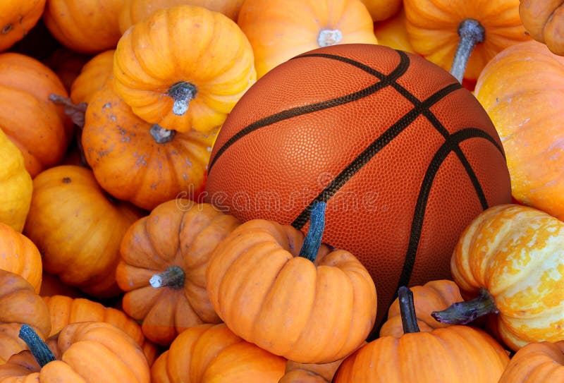 Thanksgiving Day basketball and autumn sports during harvest time with a holiday tournament ball in a pile of orange pumpkins as a concept for living a healthy lifestyle and eating natural food with fitness through exercise.