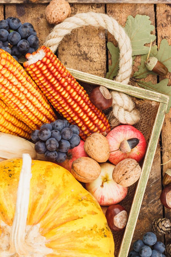 Thanksgiving vegetarian menus