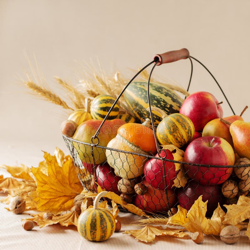 Thanksgiving de vacances d'automne La vie toujours avec le potiron et les pommes, images libres de droits Thanksgiving de vacances d'automne La vie toujours avec le potiron et les pommes, images libres de droits