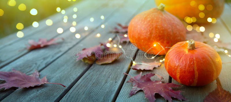 Thanksgiving holiday party background, autumn pumpkin and holidays light decoration