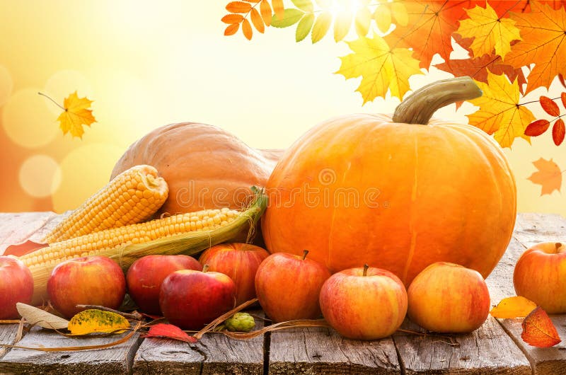 Thanksgiving Pumpkins with Apples and Corn on Old Wooden Table Stock ...