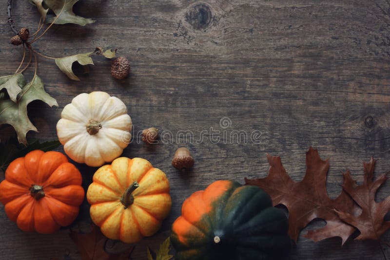 Thanksgiving season still life with colorful small pumpkins, acorn squash and fall leaves over rustic wood background.