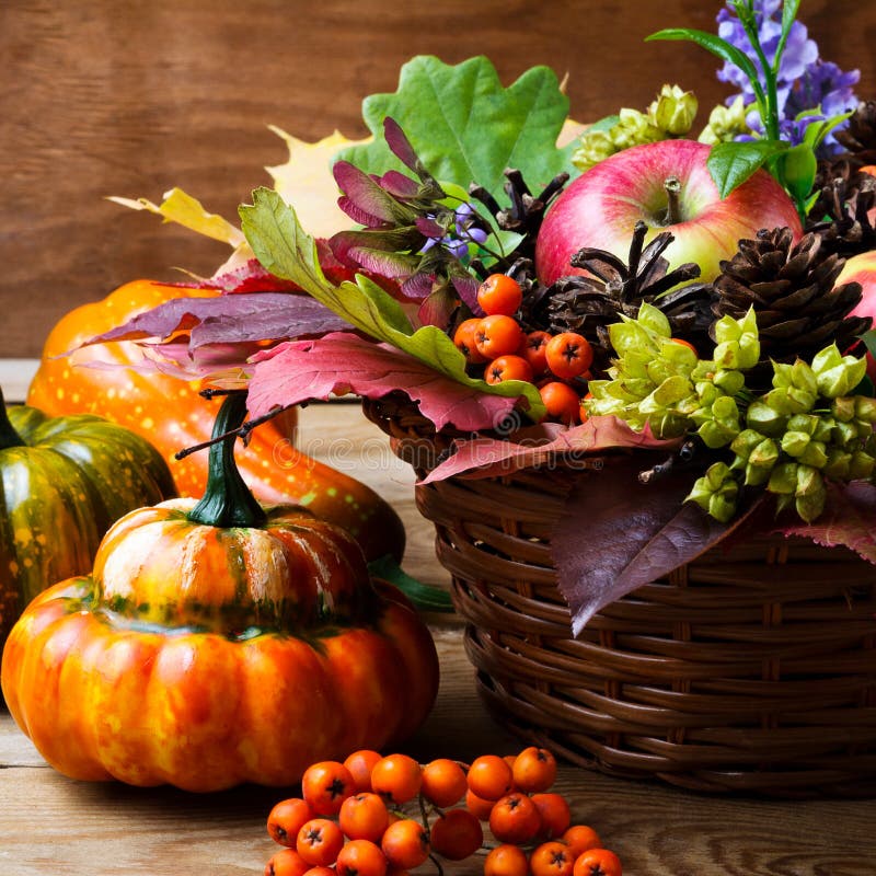 American red cross thanksgiving safety tips
