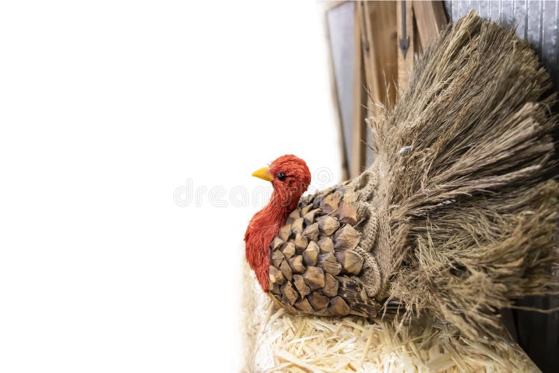 Thanksgiving turkey made out of pinecone and burlap and straw at side of white background with room for copy - selective focus stock images Thanksgiving turkey made out of pinecone and burlap and straw at side of white background with room for copy - selective focus stock images