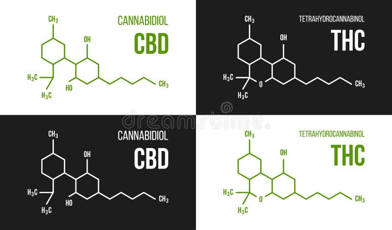 THC and CBD Molecular Structure Illustrations Set. Cannabinol and Tetrahydrocannabinol Chemistry Cannabis Formula Stock Vector - Illustration of marijuana, cannabinol: 229486577