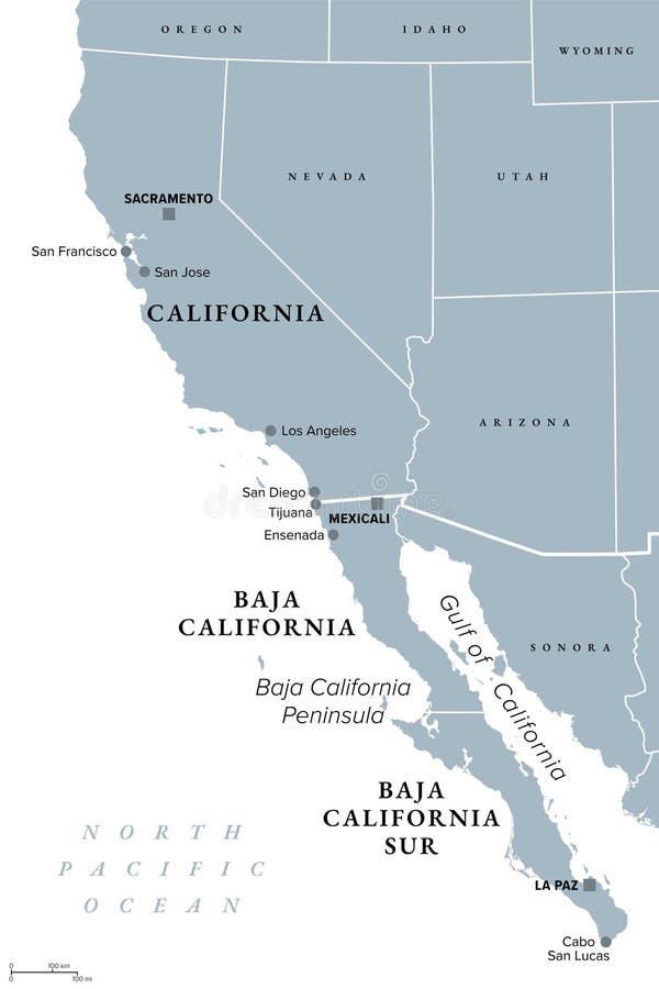 Illustration of a United States map showing primary election dates in 2025