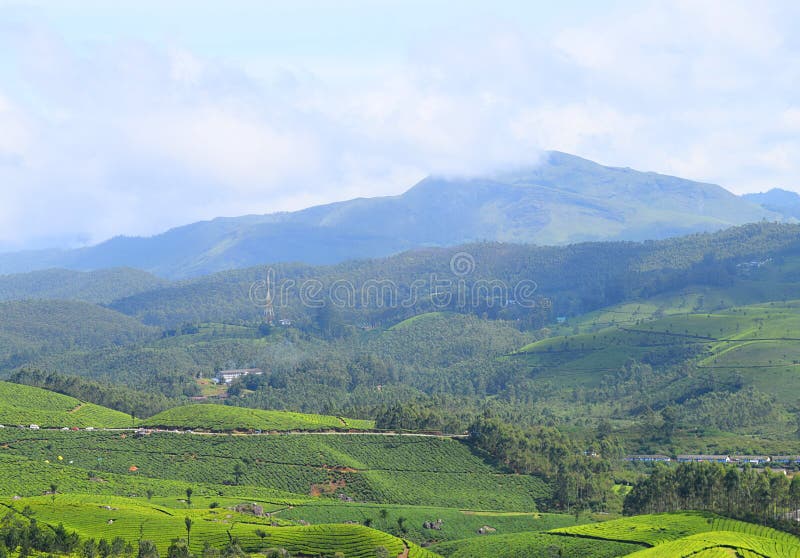Theetuinen, Groene Heuvels, en Blauwe Hemel - Weelderig Groen Natuurlijk Landschap in Munnar, Idukki, Kerala, India royalty-vrije stock afbeeldingen Theetuinen, Groene Heuvels, en Blauwe Hemel - Weelderig Groen Natuurlijk Landschap in Munnar, Idukki, Kerala, India royalty-vrije stock afbeeldingen
