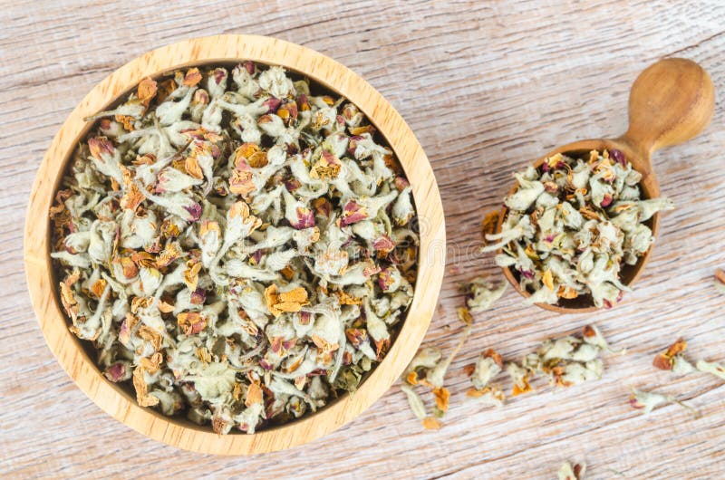 TheFlower tea. Dried of apple blossom in wooden spoon. Branch part apple fruit stock images, royalty-free photos and pictures