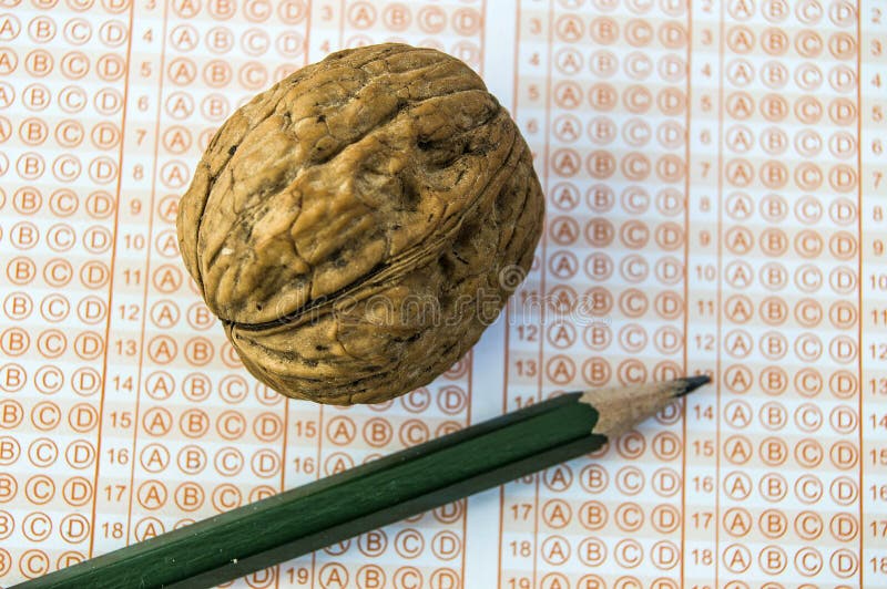 Is There Any Effect of Human Brain and Walnut, Intelligence Walnut