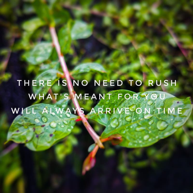 What's Rush Stock Photos Free & RoyaltyFree Stock Photos from Dreamstime