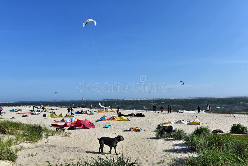 Plumb beach new york city dog must be on leash. There is Plumb beach in Getaway National Park , which is nearby Belt Pkwy east of New York city , to the east stock photos Plumb beach new york city dog must be on leash. There is Plumb beach in Getaway National Park , which is nearby Belt Pkwy east of New York city , to the east stock photos