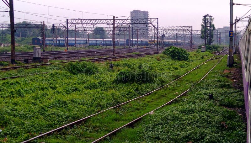 There are several railway tracks in green grass and many trains standing stock photos There are several railway tracks in green grass and many trains standing stock photos
