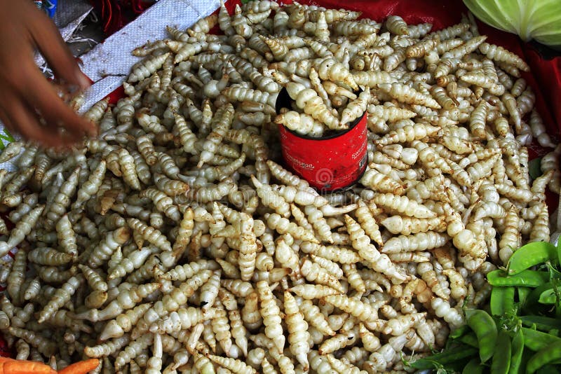 1,035 Vegetables Market Myanmar Stock Photos - Free & Royalty-Free ...