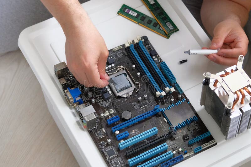Thermal Grease for Computer. Male Hand Applied Thermal Paste To