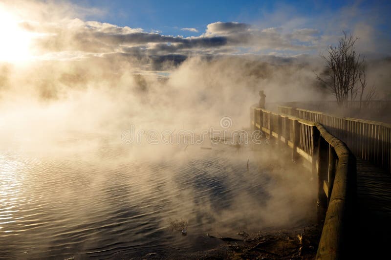 Thermal lake in the Kuirau park in Rotorua