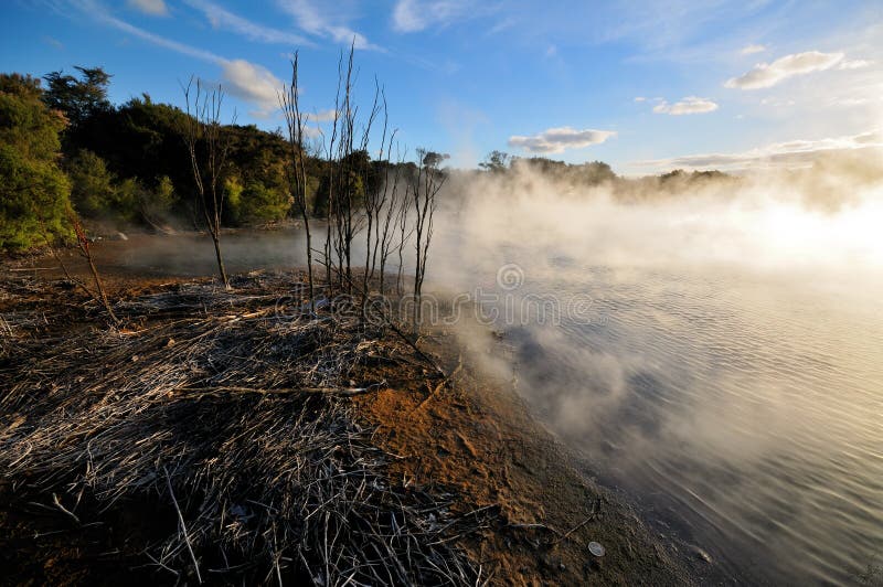 Thermal lake in the Kuirau park in Rotorua