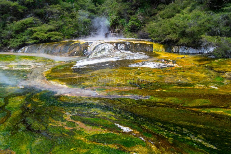 Thermal Pool At Waimangu Volcanic Valley In Rotorua North Island New