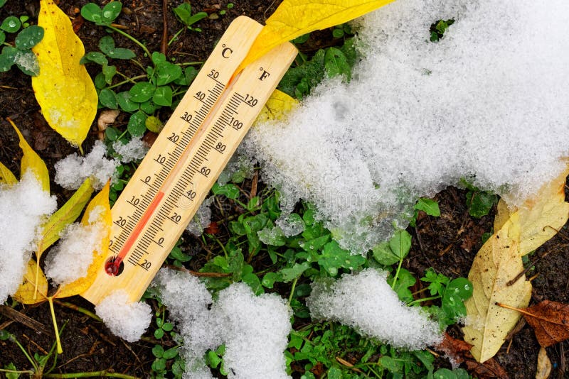 120+ Garden Soil Thermometer Stock Photos, Pictures & Royalty-Free