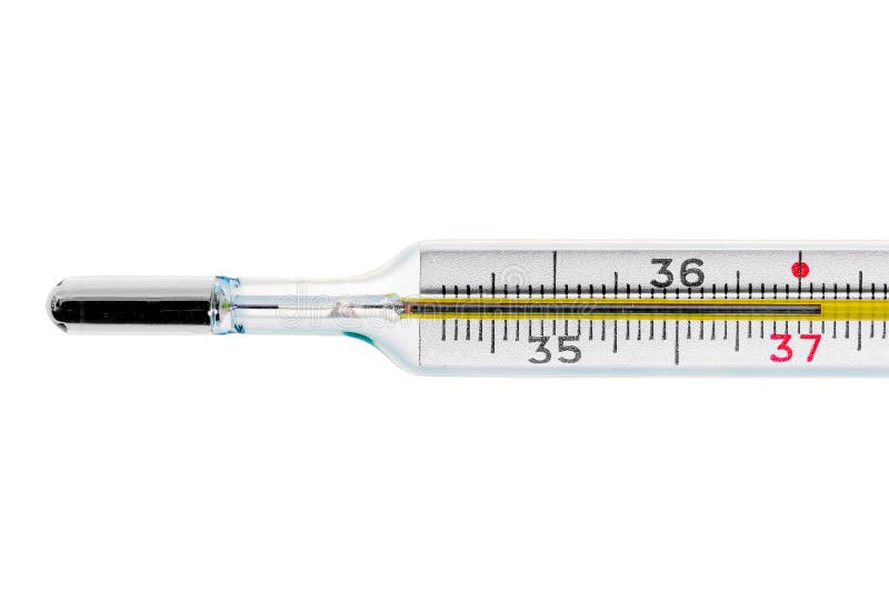 Thermometer Shows High Body Temperature Stock Image Image of mercury