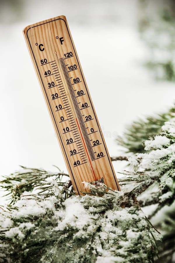 Thermometer with Subzero Temperatures on the Branch of a Tree Stock