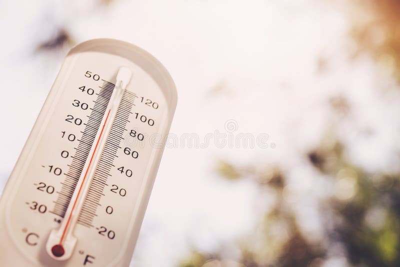 White Thermometer Hanging At The Tree Show Outdoor Temperature In Lovely  Day Stock Photo - Download Image Now - iStock