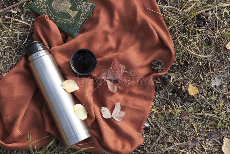 Thermos with Hot Tea in the Forest. Concept Picnic in the Park Stock
