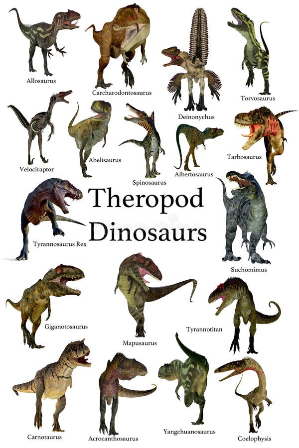 Theropod Dinosaurs Collection Stock Illustration Illustration Of theropod-dinosaurs-collection-stock-illustration-illustration-of