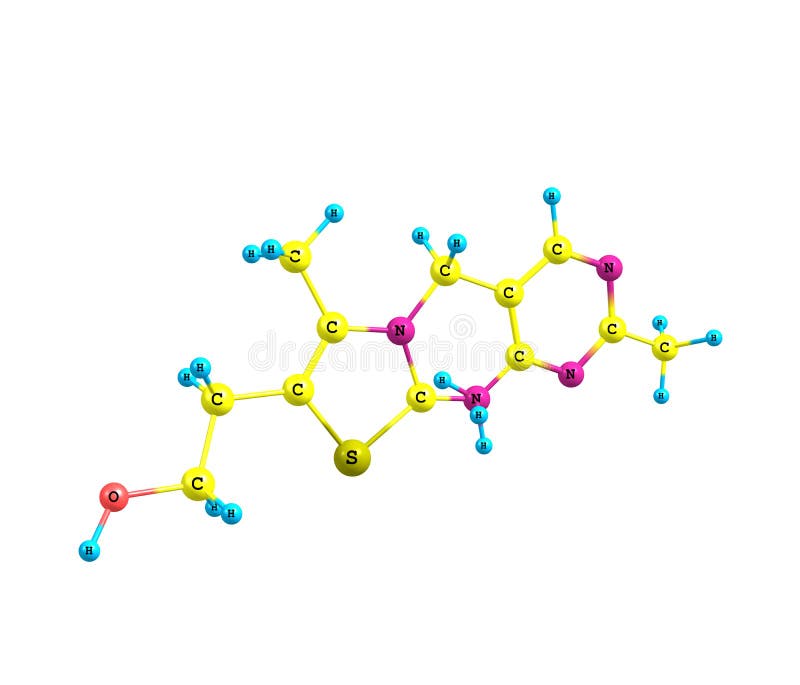 Vitamin B1 Thiamine. A Set Of Organic Organic Foods With A High Content