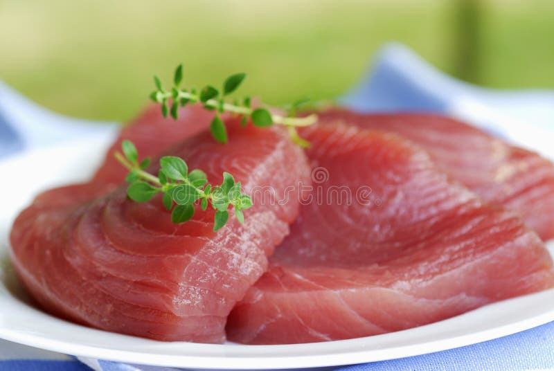 Thick piece of raw tuna stock photo. Image of sashimi 23706940