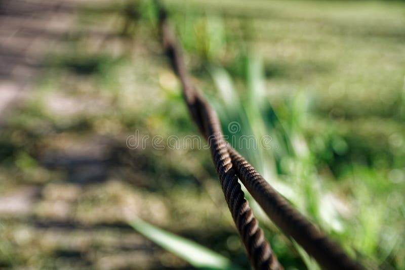 Thick Steel Rope Close Up. Bridge Fence Element. Detailed View. the