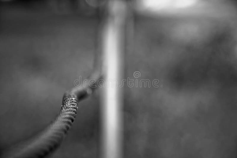 Thick Steel Rope Close Up. Bridge Fence Element. Detailed View Stock Image Image of clamp