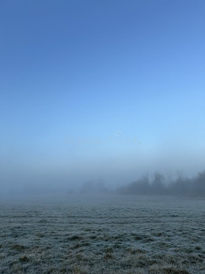 Thick winter fog rolling across the field