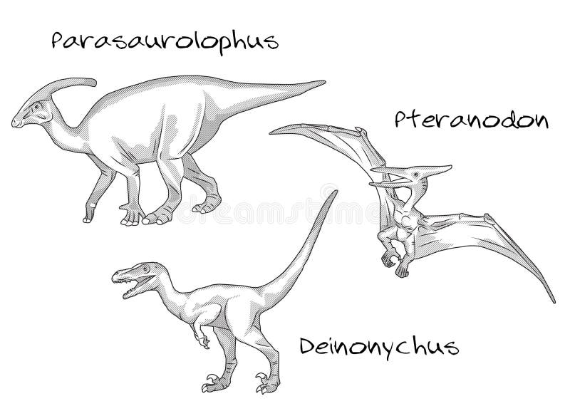 Deinonychus  Dinosaurland