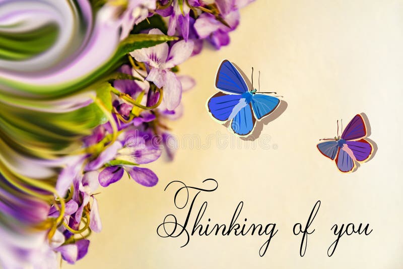 Thinking of You Card. Violet Flowers. Stock Image Image of beauty