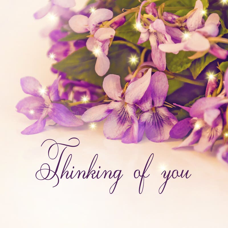 Thinking of You Card. Violet Flowers. Stock Image Image of